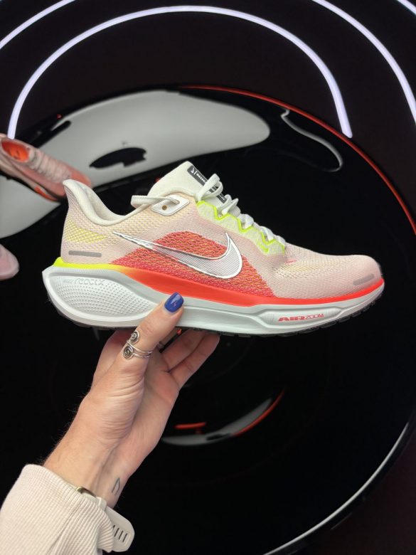 Nike Pegasus 41 in hand